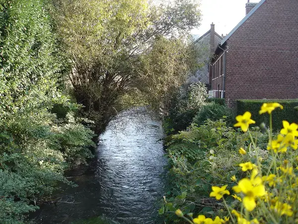Isolation Façade Laine de Roche Isolation façade laine de roche Déville-lès-Rouen