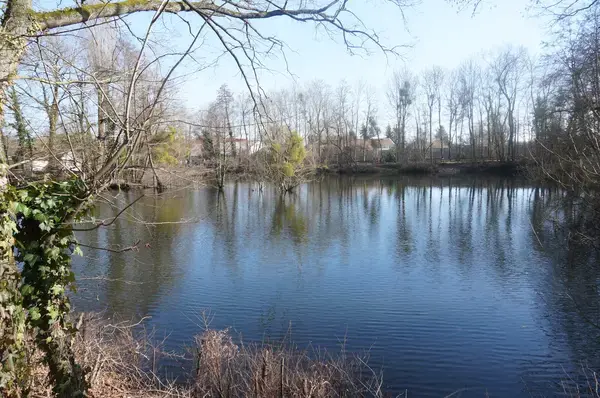 Isolation Façade Laine de Roche Isolation façade laine de roche La Chapelle-Saint-Luc