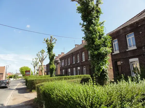 Isolation Façade Laine de Roche Isolation façade laine de roche Quiévrechain